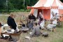 Thumbs/tn_Castlefest 2016 Zondag 025.jpg